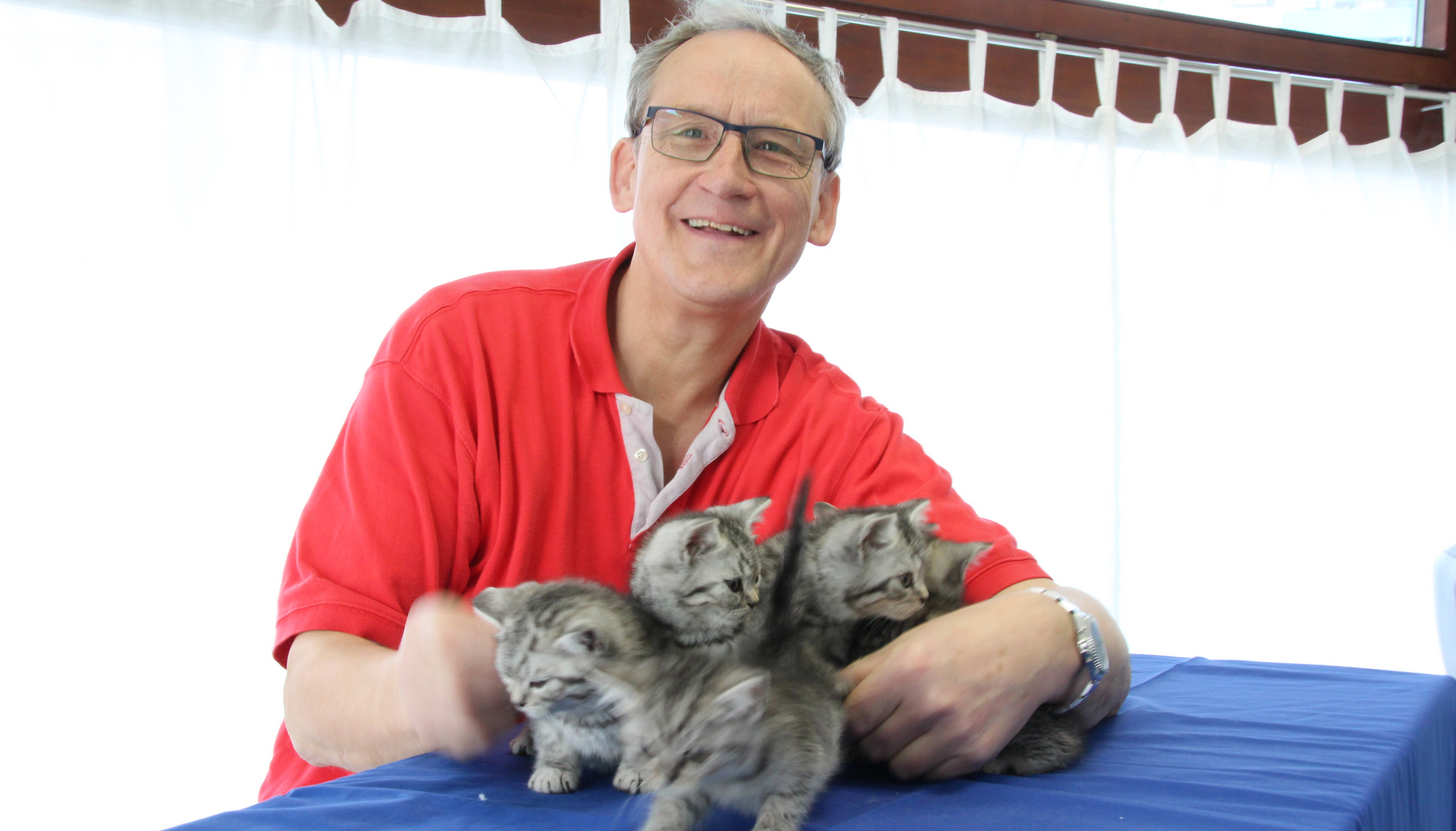 Tierarzt Dr.W.Nehls mit Katzen