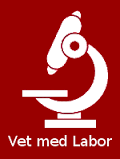 Partner 6