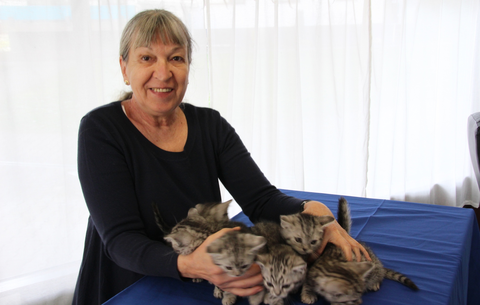 Tieraerztin Dr.I.Sohn-Nehls mit Katzenwelpen